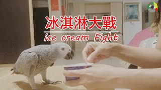 [布布生風]200510開箱冰淇淋;冰淇淋大戰;Ice Cream Fight;unpack the ice cream