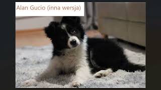 Alan - Gucio (INNA WERSJA)