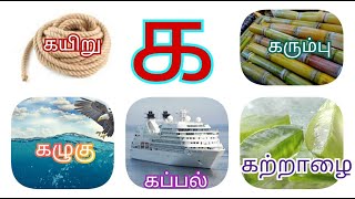 க எழுத்தில் தொடங்கும் 25 + சொற்கள் | Learn 25 plus words start with Tamil க | KIDZ DOO