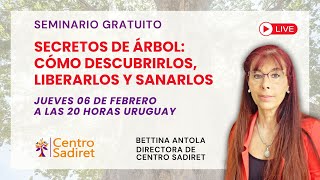 ✨ Secretos de árbol: cómo descubrirlos, liberarlos y sanarlos ✨