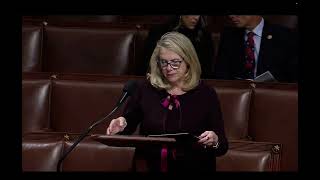 Rep. Carol Miller House Floor Speech on The Family and Small Business Taxpayer Protection Act