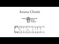 Anima Christi (Dominican) SATB Demo