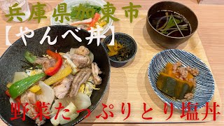 兵庫県加東市【やんべ丼】野菜たっぷりとり塩丼