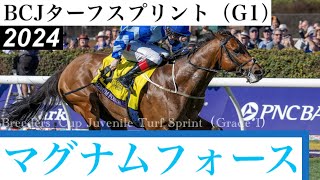 伏兵マグナムフォースがV、1番人気エコロジークは沈む【BCJターフスプリント2024】/ Magnum Force【Breeders' Cup Juvenile Turf Sprint 2024】