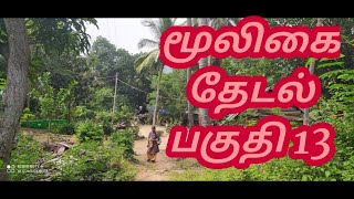 மூலிகை தேடல் - பகுதி 13