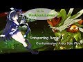 [Elsword KR] Transcendence Grand Archer  4-X - Transporting Tunnel: Contaminated Area Solo Play