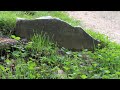 Commemorating Historic African American Cemetery Beneath A Strip Mall