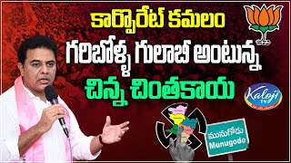 కార్పొరేట్ కమలం గరిబోళ్ళ గులాబీ అంటున్న చిన్న చింతకాయ | Munugode By Election | Kaloji TV