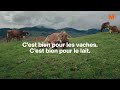 migros lait ip suisse