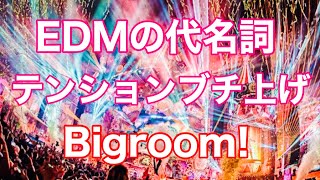 【重低音】超人気ジャンル！EDMの代名詞、Bigroom MIX！