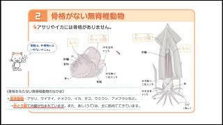 【新興出版社】 AR版 ホントにわかる 中２理科 １５ 動物の生活と進化