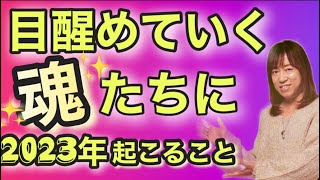 【並木良和さん】今年 スムーズに次元上昇するためのポイント \u0026やっておくこと 【ワークショップ\u0026 オンラインサロン】