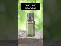 Terrashield essential oil blend benefits and uses