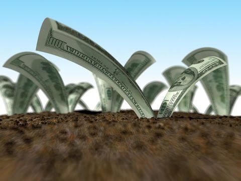 $100 US Dollars Invested EVERY Month $100 US Dollars Invested EVERY Month