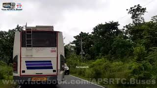 SRISAILAM TO DORNALA GHAT ROAD| NALLAMALLA FOREST #556