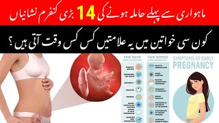 14 Early Symptoms Of Pregnancy in hindi urdu | Hamal ki 14 khaas Alamat | Signs of Pregnancy