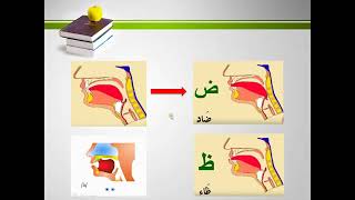 የአረብኛ ፊደሎች (ሁሩፉል ሂጃ) || Qur'an learning in Amharic for beginners || ቁርአን ትምህርት በአማርኛ ለጀማሪዎች