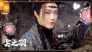 雲之羽男團日常都在幹什麼？ 這是我不花錢就可以看的嗎！ | 雲之羽 My Journey to You | 虞書欣 張凌赫 | 雲之羽官方頻道