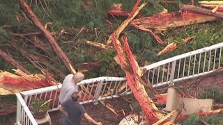 Lightning hits trees, causes damage in SW Portland