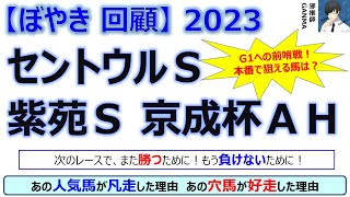 【ぼやき回顧】セントウルステークス＆京成杯オータムハンデ＆紫苑ステークス＜2023＞