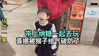 帶日本小兒子和喜娜來動物園，被小猴子給氣哭了，一路上哭笑不得