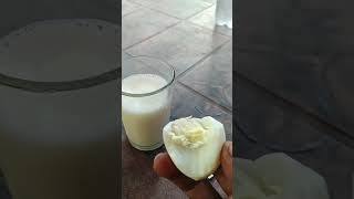 മുട്ടയും പാലും | പോഷകാഹാരം #nutrition #milk #egg #helthyfood #gym #farm #shortvideo #shorts #short