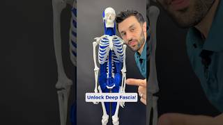 The deep line of fascia could be contributing to your head, neck, or jaw pain. #fascialrelease
