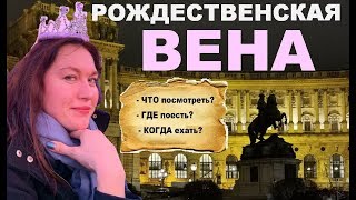 Рождественская ВЕНА! Что посмотреть? Что поесть? Что купить?