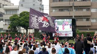 「躍動」第16回　湘南よさこい祭り2019　ステージパフォーマンス　6月2日（日）