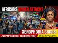 South Africa Accused of Xenophobia | African Migrants Under Pressure | Is African Unity Failing?