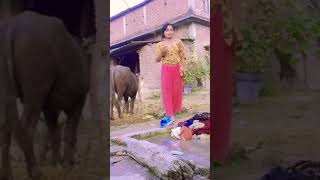 Most viral Nepali TikTok short video ॥भाईरल भिडीयो॥