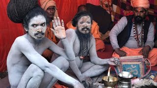 naga_sadhu//GANGA SAGAR MELA NAGA_SADHU ASHIRBAD//#nagasadhu#nagababa#sadhu#nagababakbhajan#নাগাসাধু