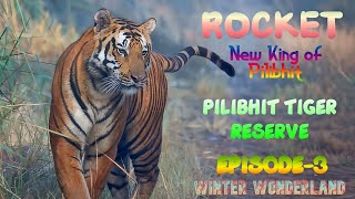 Pilibhit Winter Safari Experience | The Rise of Rocket: Pilibhit's New Hero | Here’s Why | Episode-3