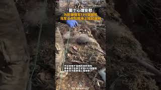 图个心理安慰，为防御俄军FPV穿越机，乌军士兵在阵地上挂起渔网