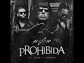 Wisin & Zion & Lennox - Prohibida