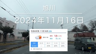 2024年11月16日 旭川路面情報