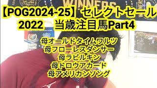 【POG2024-25】セレクトセール2022当歳注目馬Part4