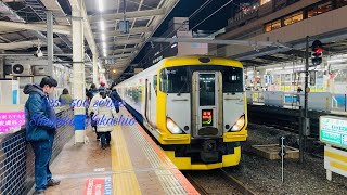 E257系500番台 NB-02編成 特急新宿わかしお 新宿行き 錦糸町駅発車