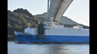 RORO船「第三はる丸」因島大橋通過　令和5年11月8日