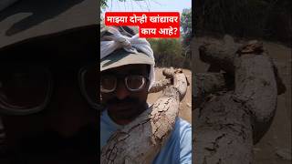 माझ्या दोन्ही खांद्यावर काय आहे? #villagelife #gavakadchevlog #dailyvlog  #shortsfeed