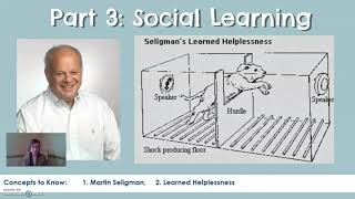 Part 3: Social and Observational Learning