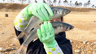 【合集】最近海邊超多海魚，又大又新鮮，統統撿回家【牛牛趕海海鮮】