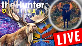 🔴LIVE - *FINALLY ANOTHER RARE SPAWNED!* 2,145 Kills GO Moose Grind! | Call of the Wild