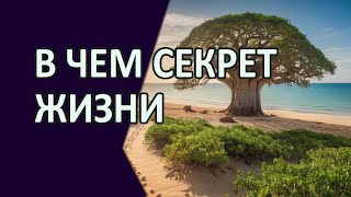 В чем секрет Жизни