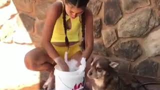 Kylin Kalani baño de espuma