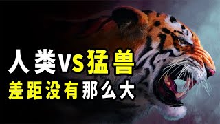 人類的徒手戰力有多強？堪比猛獸的攻擊部位，哪一個都不容小覷【無知君】