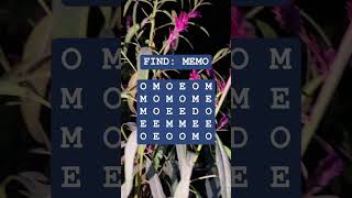 Observation Visual Test: 5 Seconds For You To Spot MEMO. Try Your Skills!  #search #puzzle #shorts