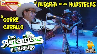 Los Auténticos de Hidalgo - La Alegría de las Huastecas y El Corre caballo más una polka pa la raza