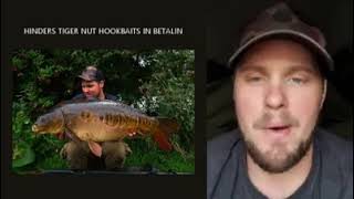 Tiger Nut Hookbaits for Carp Fishing