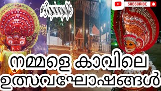 നാട്ടിലെ ഉത്സവം കണ്ടാല്ലോ?നമ്മുടെ കാവിലെ തെയ്യത്തിന്റെ ഒരുക്കങ്ങൾ|Day In Mylife #dayinmylife